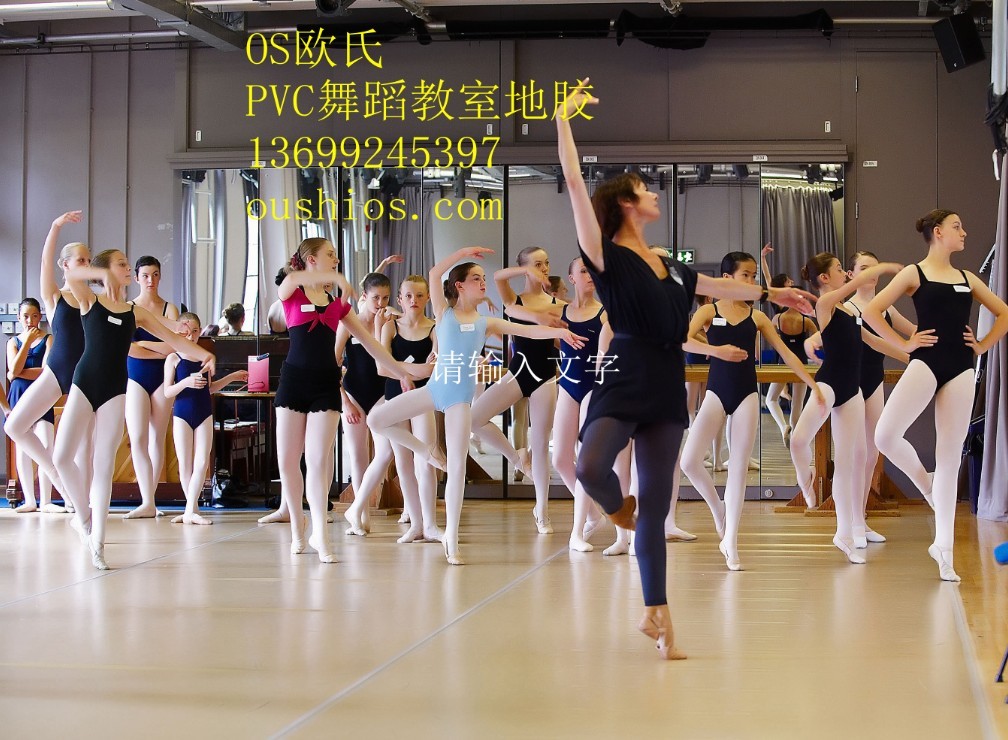 舞蹈教室地板 舞蹈教室地板