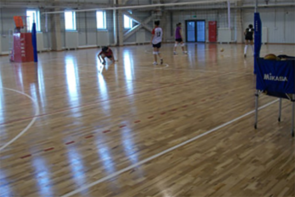 實木體育地板 實木體育地板