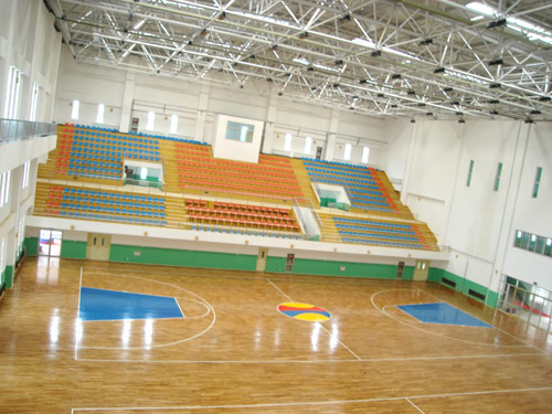 實(shí)木運(yùn)動(dòng)地板,運(yùn)動(dòng)地板價(jià)格 實(shí)木運(yùn)動(dòng)地板,運(yùn)動(dòng)地板價(jià)格