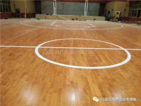 R^(q)AЌW(xu)҃(ni)@^ľذ尸