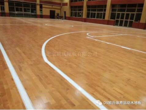 R^(q)AЌW(xu)҃(ni)@^ľذ尸